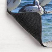 Tapis De Souris Pélicans (Coin)