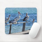 Tapis De Souris Pélicans (Avec souris)