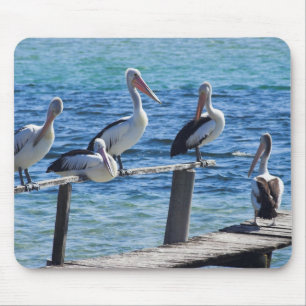 Tapis De Souris Pélicans