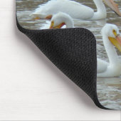 Tapis De Souris Pélicans blancs d'Amérique B16 (Coin)