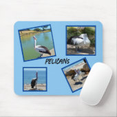 Tapis De Souris Pelicans Le Monde Le Plus Froid Oiseau Quatre Cadr (Avec souris)