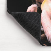 Tapis De Souris Pélicans roses (Coin)