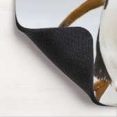 Tapis De Souris Penguin Gentoo (Coin)