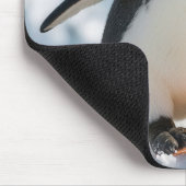 Tapis De Souris Penguin Snowboarding Downhill (Coin)