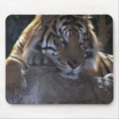 Tapis De Souris Pensée profonde (Devant)