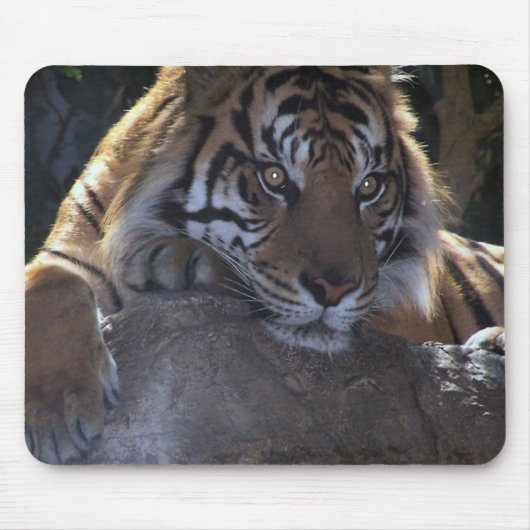 Tapis De Souris Pensée profonde (Devant)