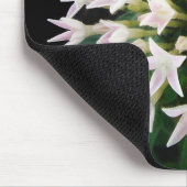 Tapis De Souris Pentas blancs (Coin)