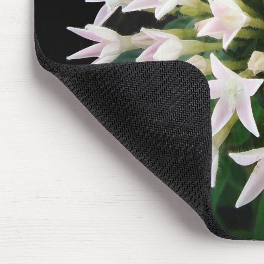 Tapis De Souris Pentas blancs (Coin)