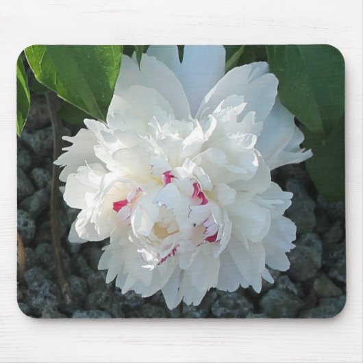 Tapis De Souris Peony romantique Mousepad (Devant)