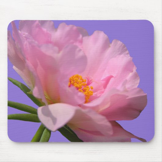 Tapis De Souris Peony rose (Devant)