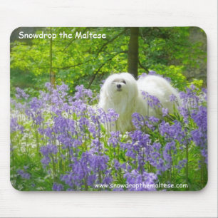 Tapis De Souris Perce-neige le maltais