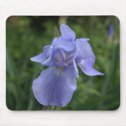 Tapis De Souris Périwinke Blue Iris Mousepad (Devant)