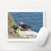 Tapis De Souris Perroquet (Avec souris)