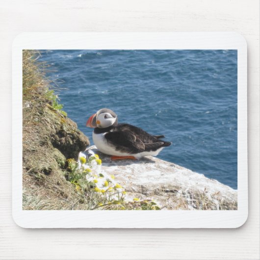 Tapis De Souris Perroquet (Devant)