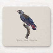 Tapis De Souris Perroquet a Camail bleu / Perroquet (Devant)