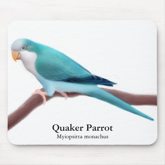 Tapis De Souris Perroquet bleu Mousepad de quaker (Devant)
