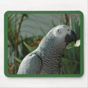 Tapis De Souris Perroquet fini de gris africain