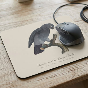 Tapis De Souris Perroquet gris Timneh, Psittacus Timneh