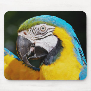 Tapis De Souris Perroquet, macaw bleu et jaune, nature