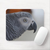 Tapis De Souris Perroquet majestueux de gris africain (Avec souris)