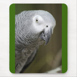 Tapis De Souris perroquet mignon