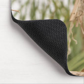 Tapis De Souris perroquet, oiseau, assis (Coin)