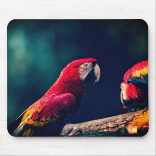 Tapis De Souris perroquet, oiseau, macaw