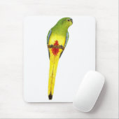 Tapis De Souris perroquet Orange-gonflé - chrysogaster de Neophema (Avec souris)