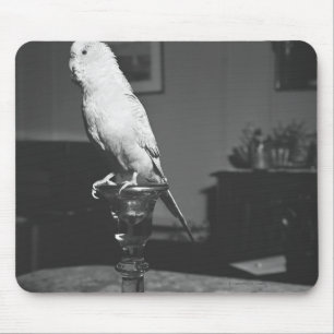Tapis De Souris Perroquet se reposant sur le chandelier B&W