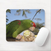 Tapis De Souris perroquet vert (Avec souris)