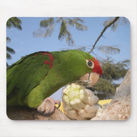Tapis De Souris perroquet vert (Devant)