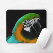 Tapis De Souris Perroquet vert coloré (Avec souris)