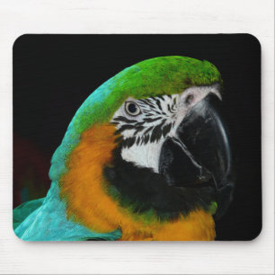 Tapis De Souris Perroquet vert coloré