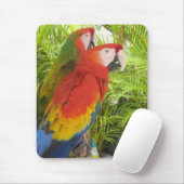 Tapis De Souris Perroquets (Avec souris)