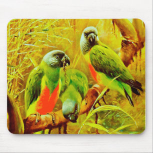 Tapis De Souris Perroquets colorés