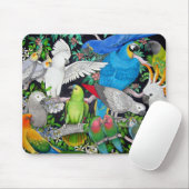 Tapis De Souris Perroquets du monde (Avec souris)