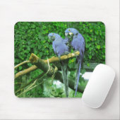 Tapis De Souris Perroquets jumeaux bleus (Avec souris)