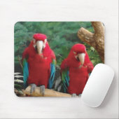 Tapis De Souris Perroquets rouges (Avec souris)