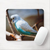 Tapis De Souris Perruche (Avec souris)