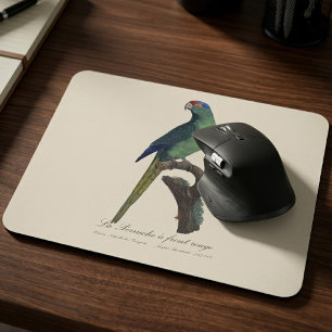 Tapis De Souris Perruche à front orange, Eupsittula Canicularis