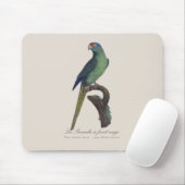 Tapis De Souris Perruche à front orange, Eupsittula Canicularis (Avec souris)