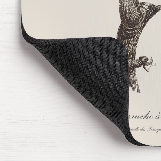 Tapis De Souris Perruche à longue queue, Psittacula Longicauda (Coin)