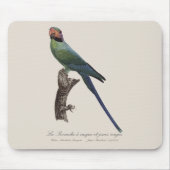 Tapis De Souris Perruche à longue queue, Psittacula Longicauda (Devant)