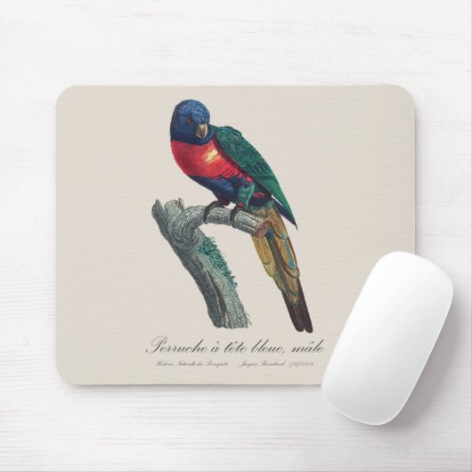 Tapis De Souris Perruche a tete bleue / Rainbow lorikeet (Avec souris)