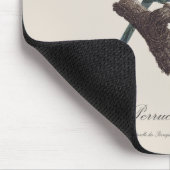 Tapis De Souris Perruche a Tete Jaune / Perruche de Caroline (Coin)