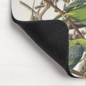 Tapis De Souris Perruche de Caroline, des "oiseaux de l'Amérique", (Coin)