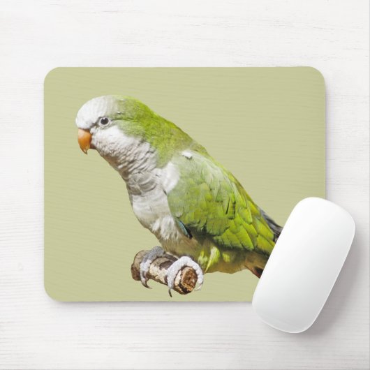 Tapis De Souris Perruche de moine (Avec souris)