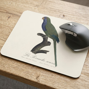 Tapis De Souris Perruche Moine, Myiopsitta Monachus