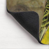 Tapis De Souris perruche, nature, perroquet jaune (Coin)