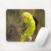 Tapis De Souris perruche, nature, perroquet jaune (Avec souris)